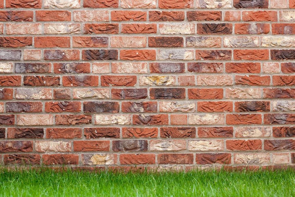 Brick wall and grass background.